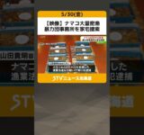 【映像】ナマコ大量密漁　暴力団事務所を家宅捜索　合計約485キロ…８人逮捕・起訴　北海道 #shorts
