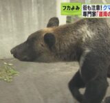 クマを誘う“におい”　嗅覚はイヌの約10倍「腐敗臭が呼び寄せる」ごみを荒らす被害相次ぐ福島町