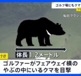 クマ出没でプロゴルフツアー中止 北海道では連日クマのごみ漁り続く 行方不明のハンターは“滑落”の可能性も【news23】｜TBS NEWS DIG