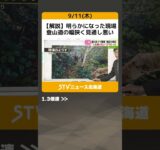 【解説】明らかになった現場　登山道の幅狭く見通し悪い　男性襲ったクマか？目撃多数あり #shorts