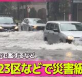 【気象】災害級大雨…都内の交通網は大混乱、関東地方は一時1万軒以上で停電が発生 ── ニュースライブ（日テレNEWS LIVE）