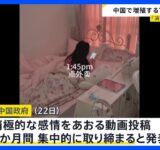 中国で増殖の「ネズミ人間」＝“消極的な生活の象徴” 相次ぐSNSへの投稿に中国政府が取締り強化…アカウント閉鎖などの強硬措置も【news23】｜TBS NEWS DIG