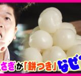 【独自追跡】「月見バーガー」「月見シュー」“月見商戦”が過熱「お月見」ルーツは遣唐使か　月で“うさぎが餅つき”「餅をついていると勘違いしたか」〈カンテレNEWS〉