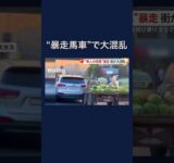 “無人の馬車”が突然暴走　前の車を抜かすなど道路は大混乱 #shorts