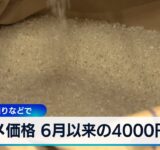 コメ価格 6月以来の4000円超　新米の出回りなどで【WBS】